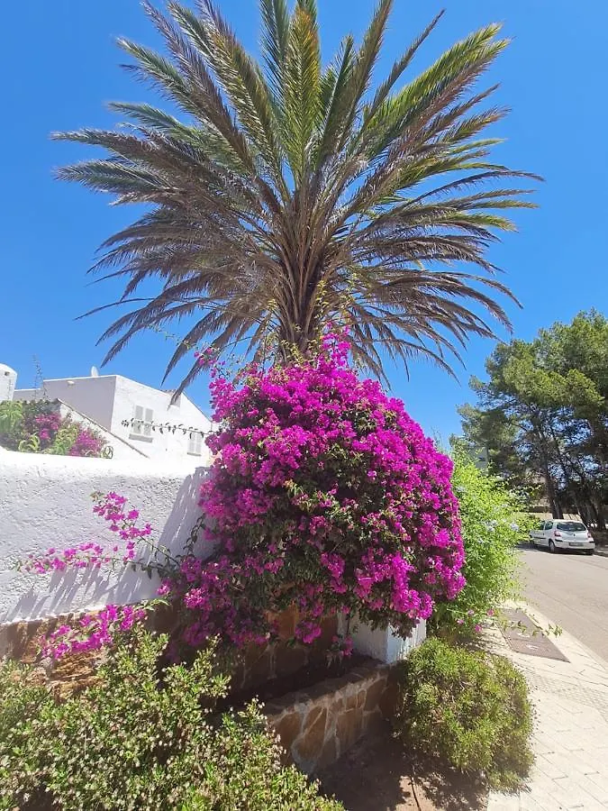Sunny Chalet Sol De Mallorca Spagna